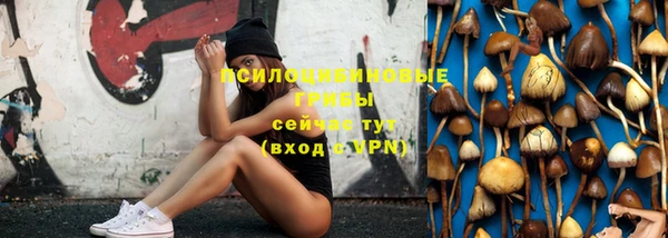 тгк Лабытнанги