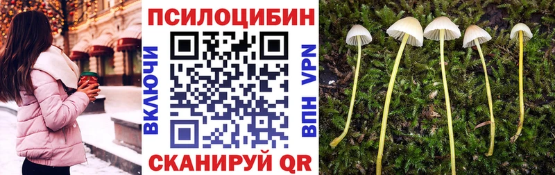 Псилоцибиновые грибы Psilocybine cubensis Тара